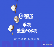 第二副业--手机POS浦汇宝