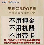 手机pos机app哪个最好用（手机pos机软件哪个好）