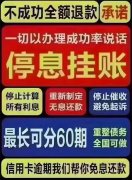 花呗停息挂账2024新规定