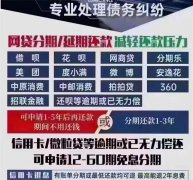 还贷人须知 ｜ 个人债务优化的四大需求及其具体