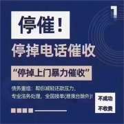 2024蓝海项目，债务优化师，年前可赚100W